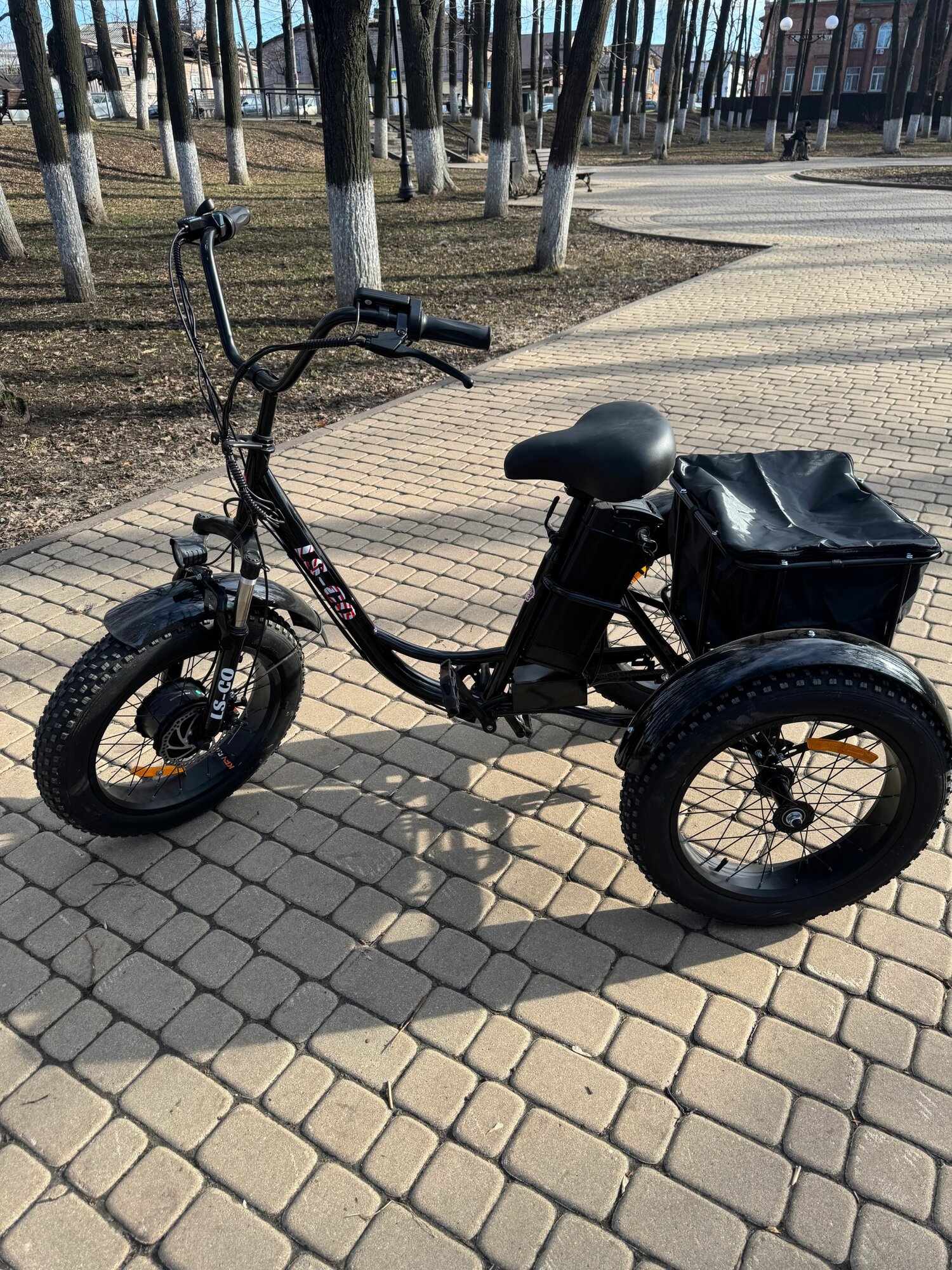 Электровелосипед трехколёсный LS-CO Trike 240W, 48V/15AH — фото 1
