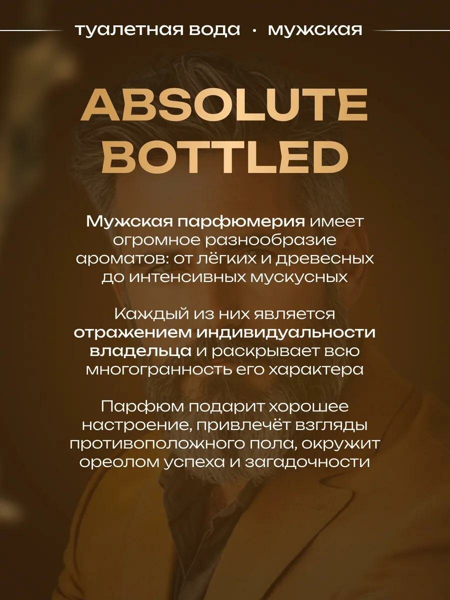Туалетная вода мужская Absolute Bottled, 100 мл, древесный пряный аромат — фото 1