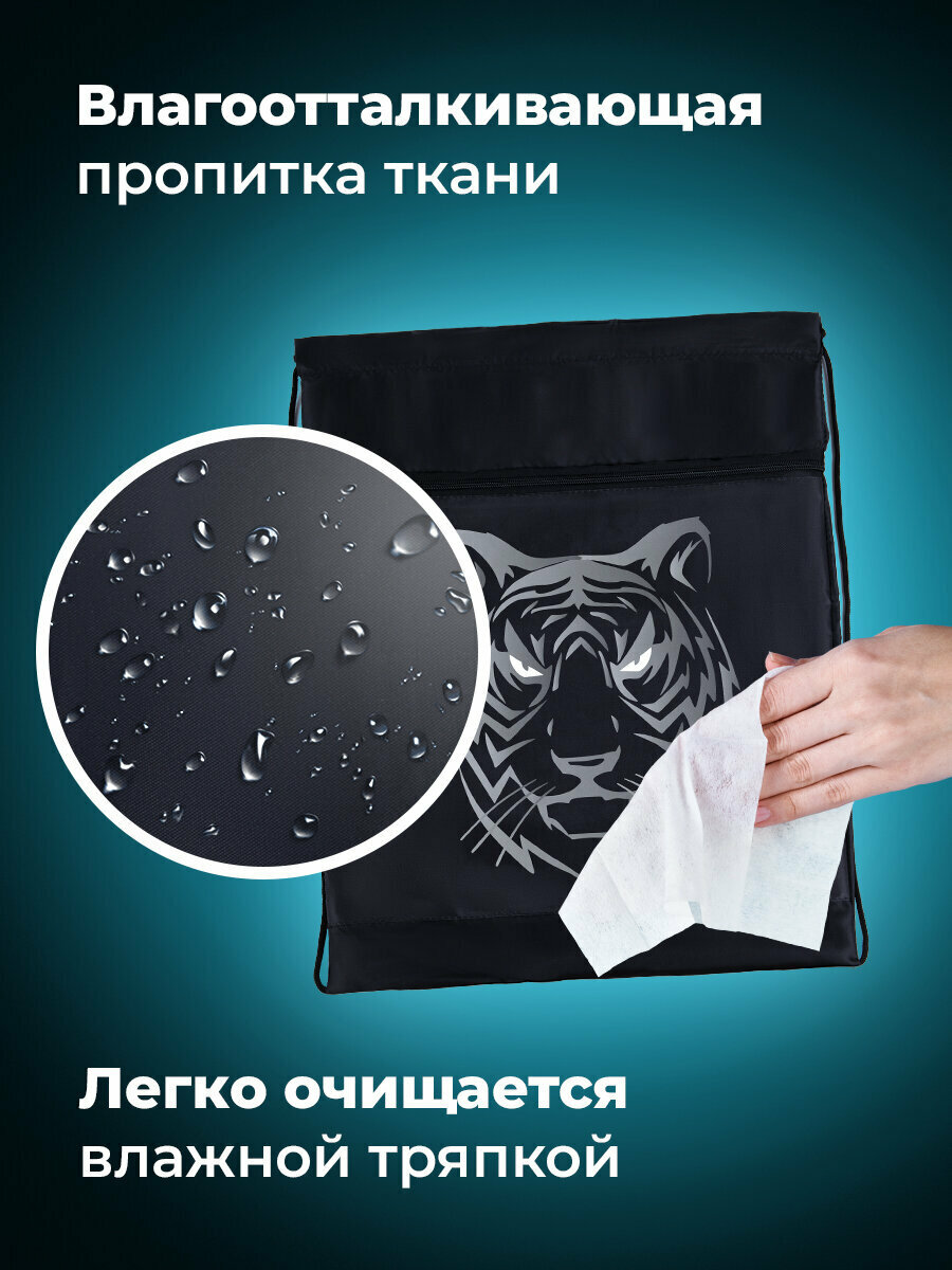 Сумка / мешок / рюкзак для сменной обуви (сменки) Brauberg, с петлёй, карман на молнии, 47х37 см, Tiger, 271610 — фото 1