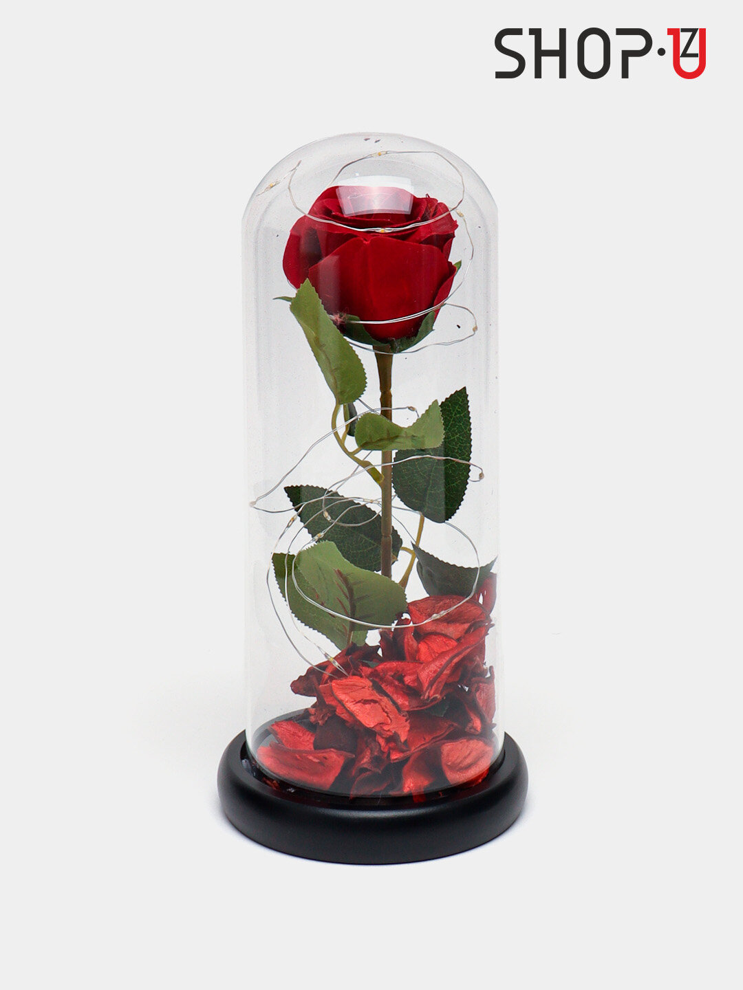 Вечные цветы, Роза под куполом "Красавица и чудовище", LED-подсветка, стиль современный