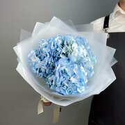 Монобукет из живых цветов "3 голубые гортензии" , цветочный магазин Wow Flora