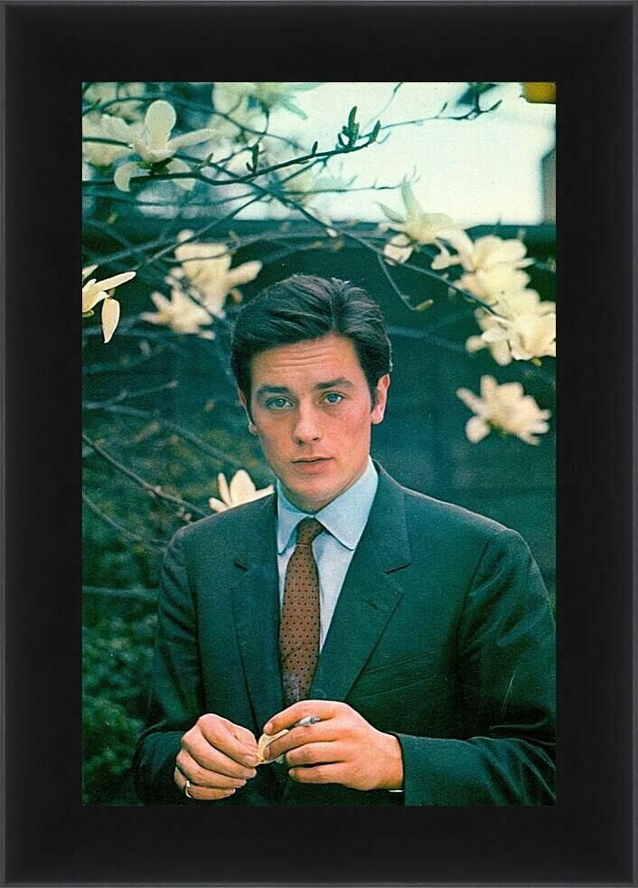 Плакат постер на бумаге Ален Делон. Alain Delon. Размер 30 х 42 см