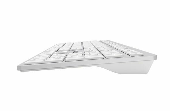 Клавиатура A4Tech Fstyler FX50 белый USB slim Multimedia (FX50 WHITE)