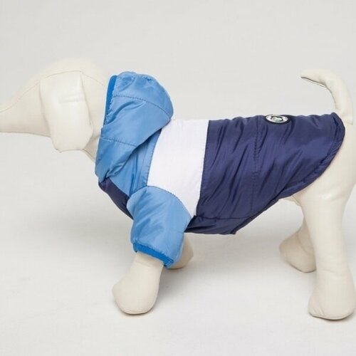 Куртка для собак мелких пород «TEPLO», на синтепоне, синий / голубой, размер М (40*21*27)
