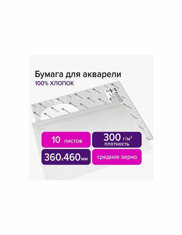 Бумага для акварели Brauberg ART PREMIERE, ХЛОПОК 100%, 300г/м2, 460x660 мм, среднее зерно, 10 листов (113231) - фото №20