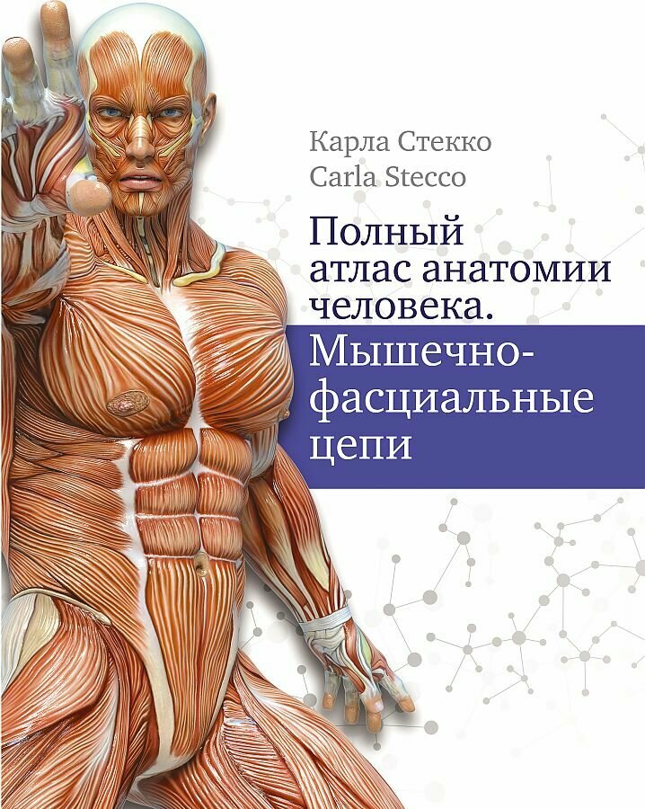 Карла Стекко, пер. с англ. А. Анваера. Полный атлас анатомии человека. Мышечно-фасциальные цепи. Серия: Атлас человека : профессионально-популярное издание