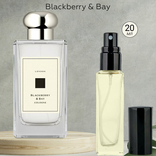 Gratus Parfum Blackberry Bay духи женские масляные 20 мл (спрей) + подарок gratus parfum blackberry bay духи женские масляные 30 мл спрей подарок