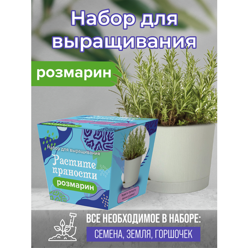 Коллекция наборов для выращивания Растите пряности Розмарин 470₽