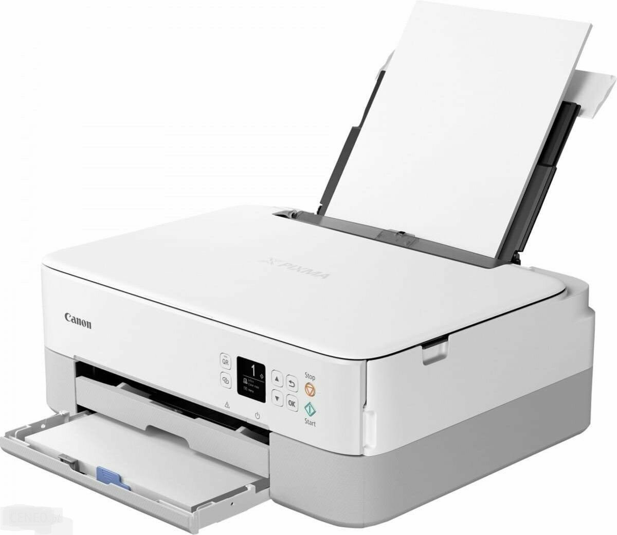 Canon Pixma TS5351 (цвет белый, Wi-Fi, Печать, Копирование, Сканирование, Облако До 4800 x 1200 т/д, 2 картриджа FINE (черный ицветной): PG-560 (черный), CL-561 (цветной)) - фото №3