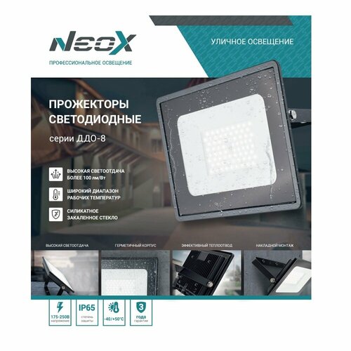 Прожектор светодиодный NEOX ДДО 6500К 30 Вт IP65 черный (4690612034003)