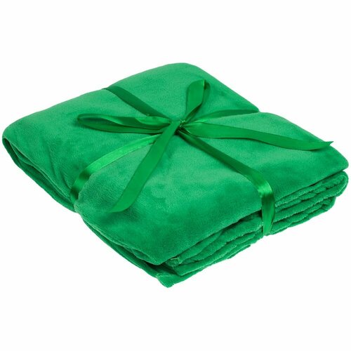 Плед Plush, зеленый, 125x150 см, полиэстер 100%, длинноворсовый флис, 240 г/м²