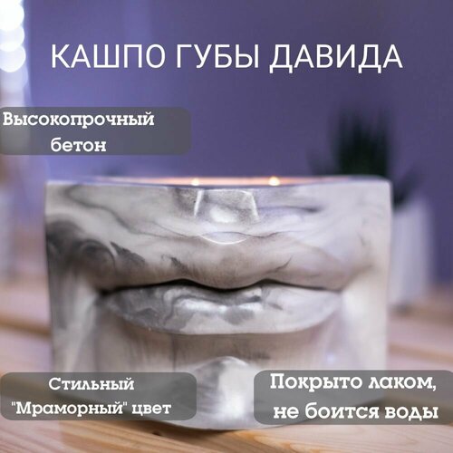 Кашпо губы Давида органайзер для ванной, для косметических принадлежностей, ваза для сухоцветов, суккулентов