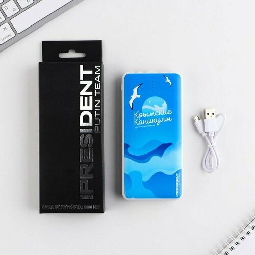 Зарядное устройство Крымские каникулы 8000мА модель PB-23 145 х 69 см 324600₽