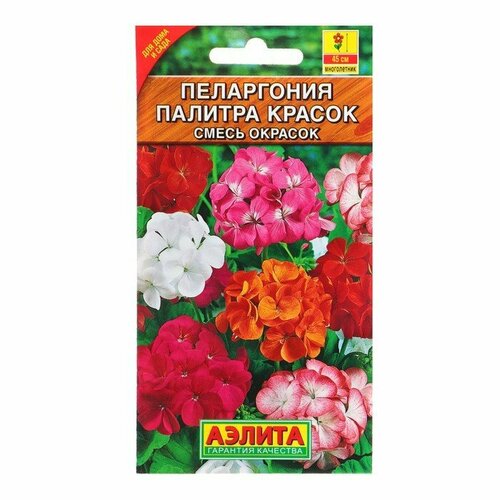 Семена комнатных цветов Пеларгония Палитра красок, 4 шт. (комплект из 11 шт)