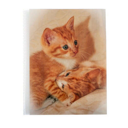 Фотоальбом на 36 фото 10х15 см Pioneer Puppies and kittens рыжие котята (комплект из 10 шт)