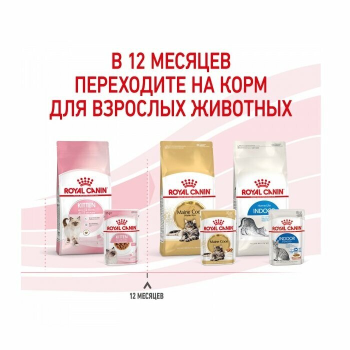 Royal Canin Kitten влажный корм для котят от 4 до 12 месяцев кусочки в соусе, 85 г - фото №13