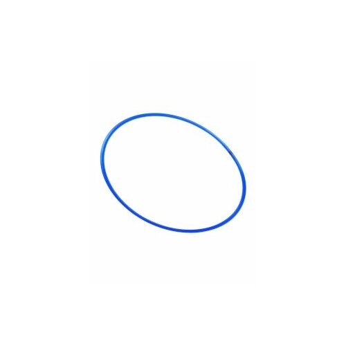 Обруч Karolina Toys синий пластмассовый 60 см 40-0016 449₽