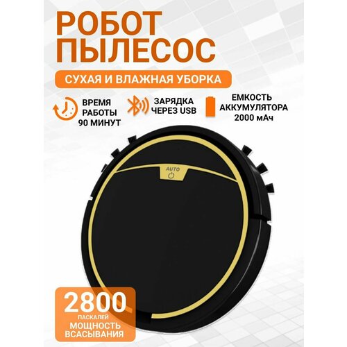 Робот-пылесос для сухой и влажной уборки Robot Sweeping RS300 черный 480000₽