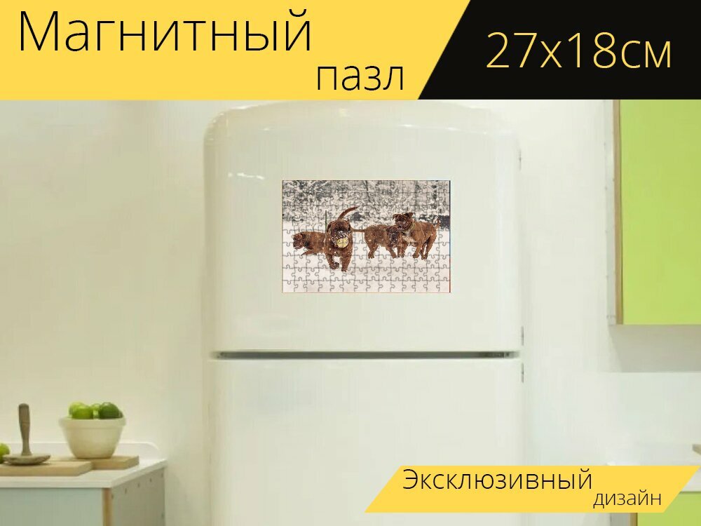 Магнитный пазл "Собаки, играющий, снег" на холодильник 27 x 18 см.