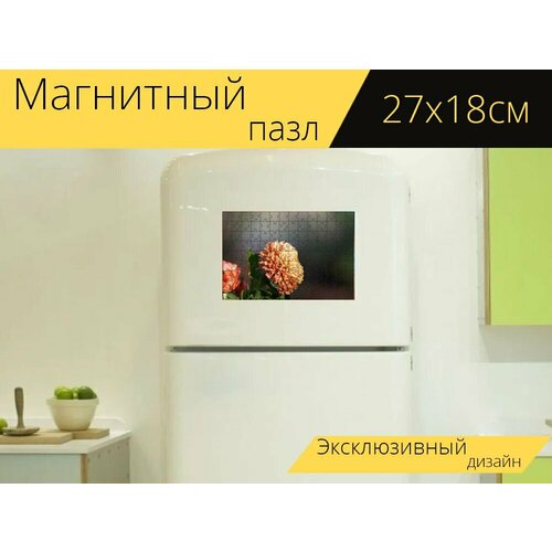 Магнитный пазл Хризантема, цветок, завод на холодильник 27 x 18 см. магнитный пазл цветок белый хризантема на холодильник 27 x 18 см