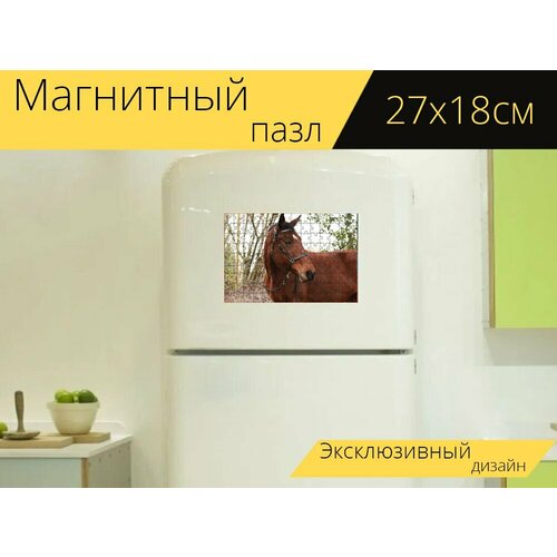 стол лошадь лошади лошадь рысак 65x65 см кухонный квадратный с принтом Магнитный пазл Лошадь, лошади, лошадь рысак на холодильник 27 x 18 см.