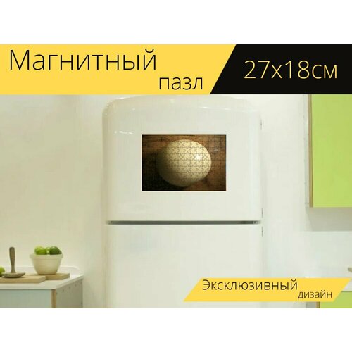 Магнитный пазл Страусиное яйцо, оболочка, яйцо на холодильник 27 x 18 см. магнитный пазл штраус страусиное яйцо выводок на холодильник 27 x 18 см