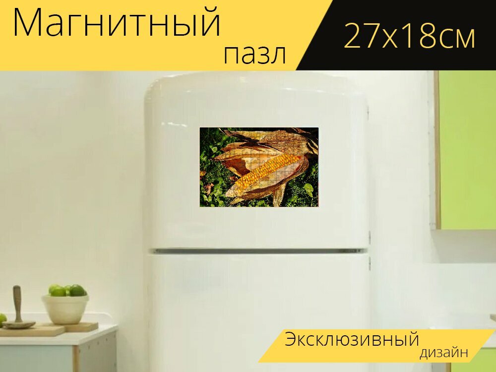Магнитный пазл "Кукуруза, кукуруза в початках, кукурузные зерна" на холодильник 27 x 18 см.