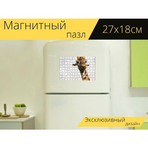 Магнитный пазл Жирафа, африка, сафари на холодильник 27 x 18 см. магнитный пазл жирафа африке сафари на холодильник 27 x 18 см