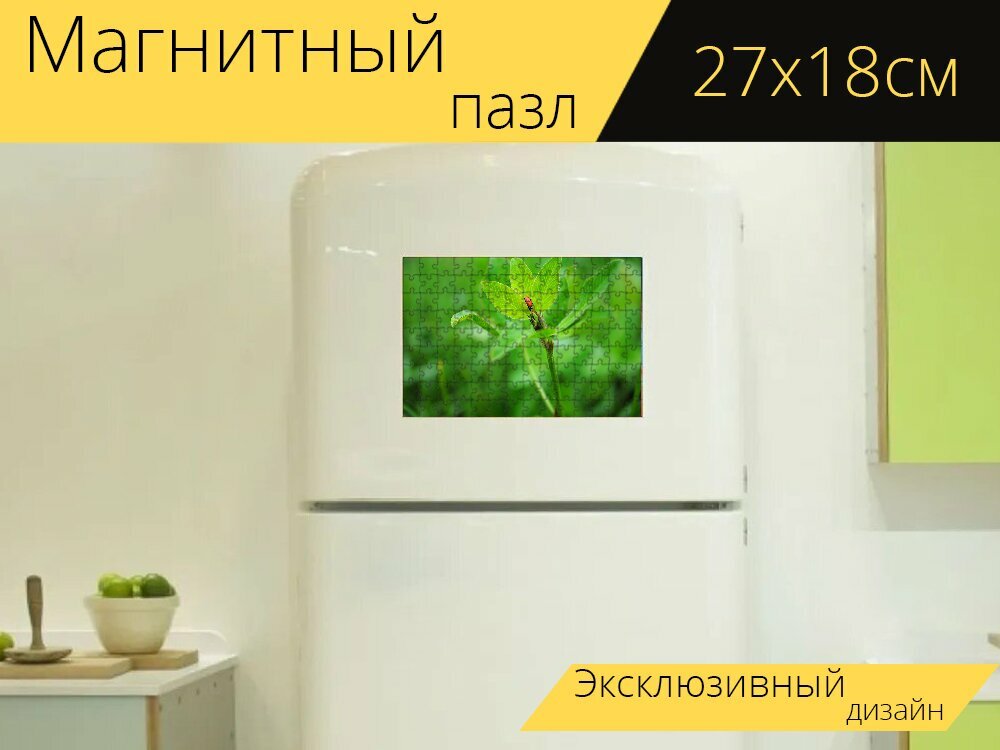 Магнитный пазл "Насекомое, божья коровка, весна" на холодильник 27 x 18 см.