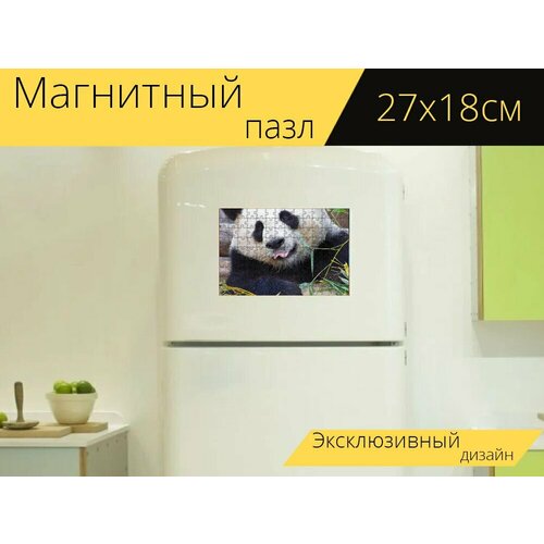 Магнитный пазл Панда, большая панда, зоопарк на холодильник 27 x 18 см. магнитный пазл красная панда зоопарк дремать на холодильник 27 x 18 см