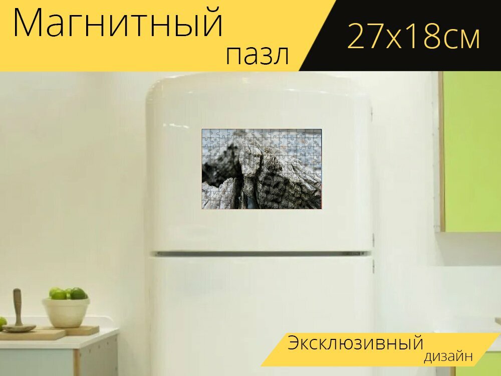 Магнитный пазл "Древесина, коряги, обломки" на холодильник 27 x 18 см.