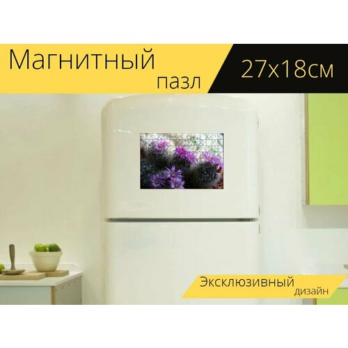 Магнитный пазл Кактусы, кактус, цветущий кактус на холодильник 27 x 18 см. магнитный пазл кактус десерт ботаника на холодильник 27 x 18 см