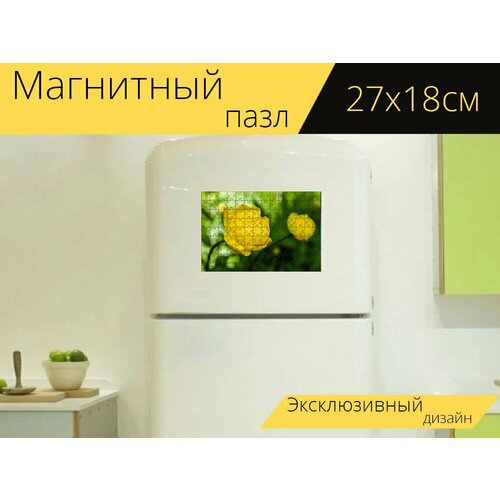 Магнитный пазл Цветы, болотные цветы, северные цветы на холодильник 27 x 18 см. магнитный пазл цветы болотные цветы северные цветы на холодильник 27 x 18 см