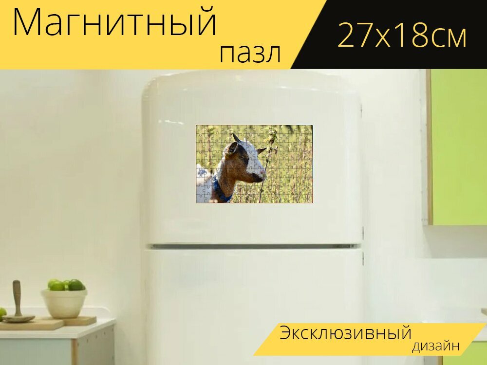 Магнитный пазл "Козел, жвачных животных, пастбище" на холодильник 27 x 18 см.