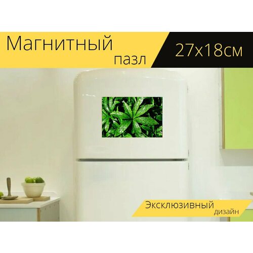 Магнитный пазл Морозник, листья, зеленый на холодильник 27 x 18 см. магнитный пазл розовый морозник цветок на холодильник 27 x 18 см