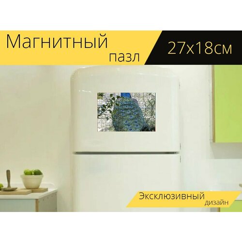 Магнитный пазл Павлин, синий, птица на холодильник 27 x 18 см. магнитный пазл рогатая птица казуар синий на холодильник 27 x 18 см