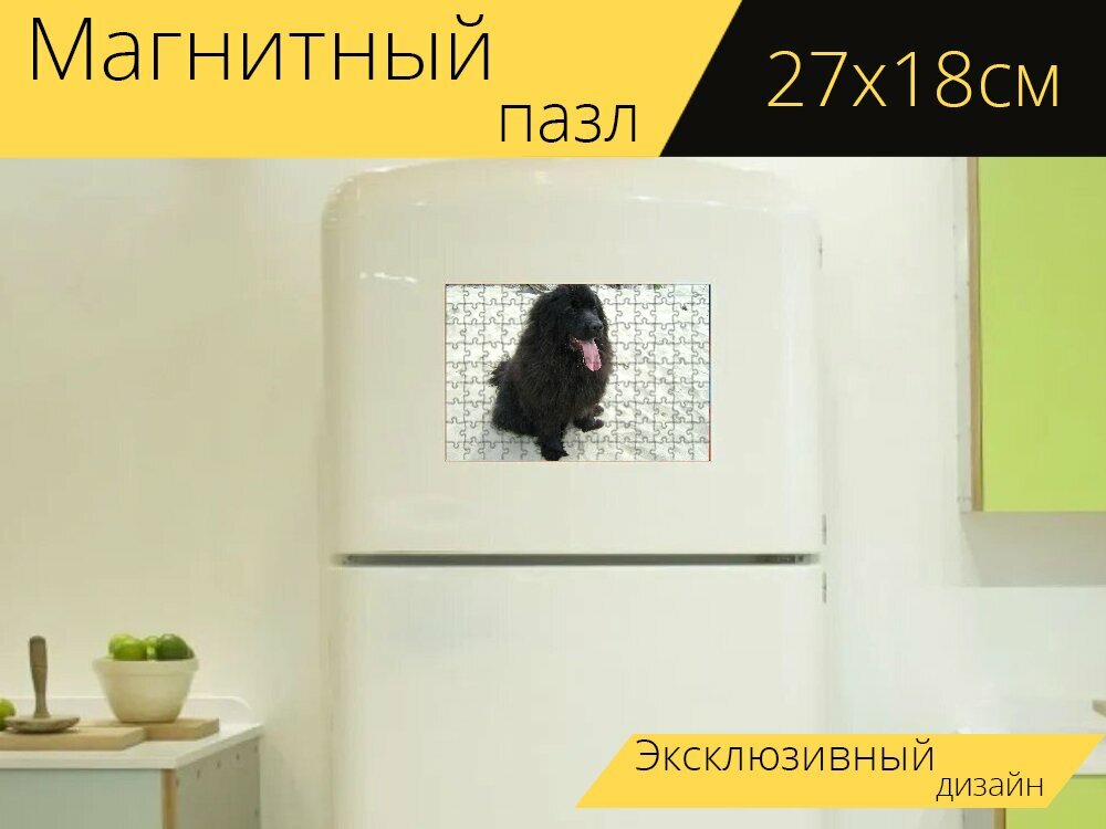 Магнитный пазл "Ньюфаундленд, снег, собака" на холодильник 27 x 18 см.