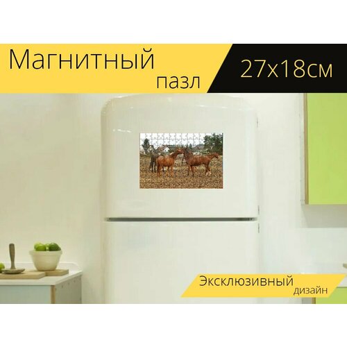 Магнитный пазл Лошади, пастбище, загон на холодильник 27 x 18 см. магнитный пазл лошади лошадь пастбище на холодильник 27 x 18 см