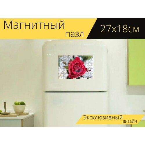 Магнитный пазл Розы, роза, цвести на холодильник 27 x 18 см. магнитный пазл розы букет из роз цвести на холодильник 27 x 18 см
