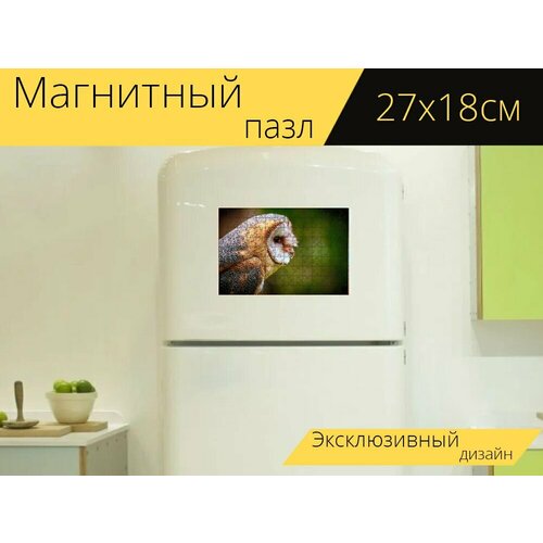 Магнитный пазл Сова, сипуха, птица на холодильник 27 x 18 см. магнитный пазл сипуха сова хищники на холодильник 27 x 18 см