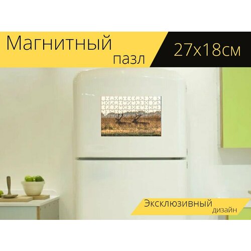 Магнитный пазл Красный олень, олень, животные на холодильник 27 x 18 см. магнитный пазл красный олень выпас на холодильник 27 x 18 см