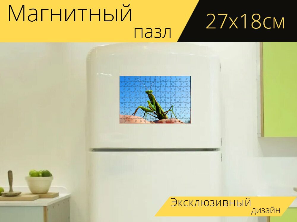 Магнитный пазл "Богомол, насекомое, зеленый" на холодильник 27 x 18 см.