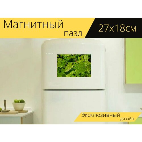 Магнитный пазл Насекомые, датчик, листья на холодильник 27 x 18 см. магнитный пазл насекомые