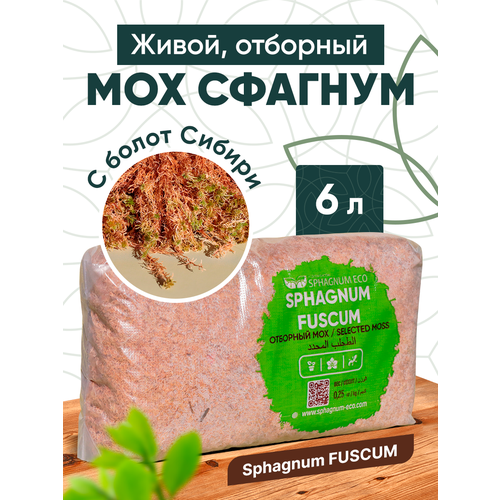 Мох сфагнум Fuscum живой, отборный в пакете 6 л.