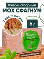 Мох сфагнум Fuscum живой, отборный в пакете 7 л.