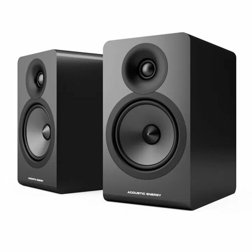 Acoustic Energy AE100-2 2022 Black 3870000₽