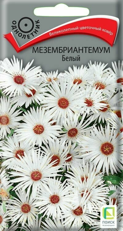 фото Мезембриантемум Белый 0,3 грамм, Поиск