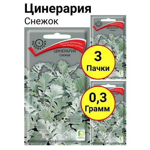 Цинерария Снежок 0,1 грамм, Поиск - 3 пачки