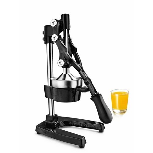 Пресс для фруктов 488000₽