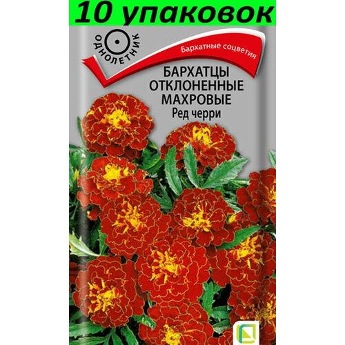 NSD Fermer 6600 - купить по выгодным ценам в интернет-магазине OZON (1209656426)